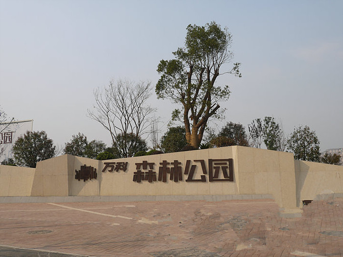 電表用於合肥萬科（kē）森林公園